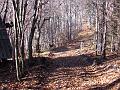Slika_11