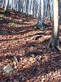 Slika_14