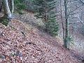 Slika_34