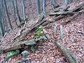 Slika_35