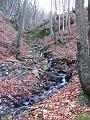 Slika_41