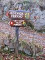 Slika_42