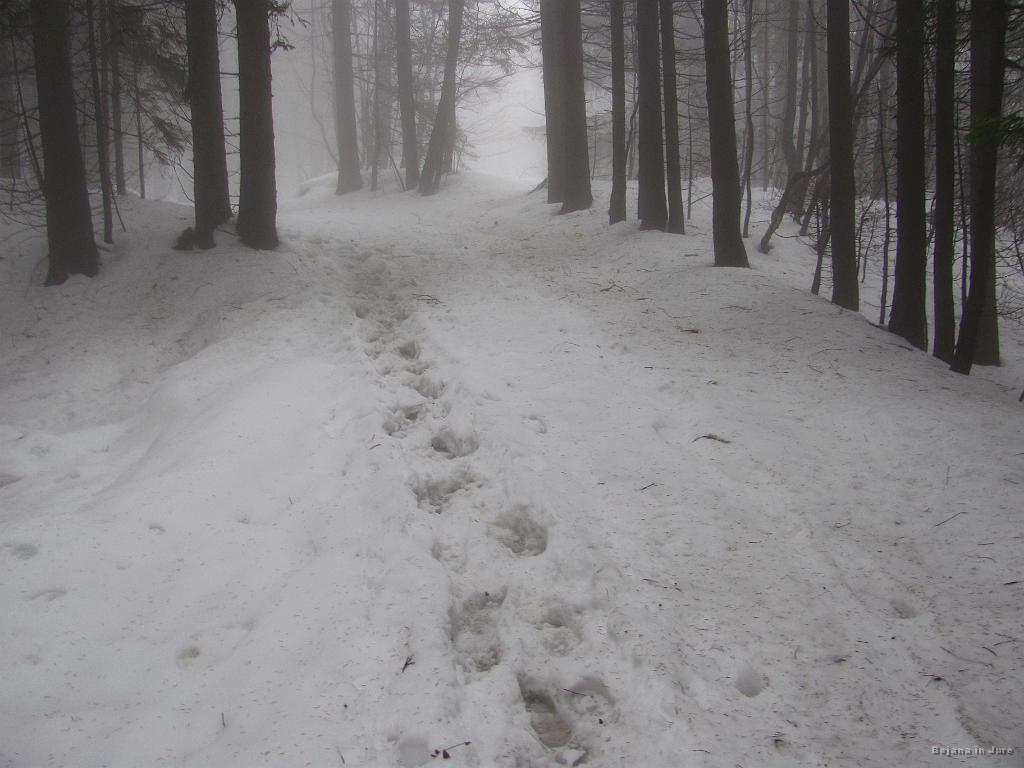Slika_01.jpg - To je že cesta, ki pelje do glavnega "križišča" za Blegoš, Črni vrh in ostale vasice. Ja, snega je dovolj, vendar na Počivalo pa ne bi šla po smučke. Pa tudi psi so ostali kar v Cerknem.