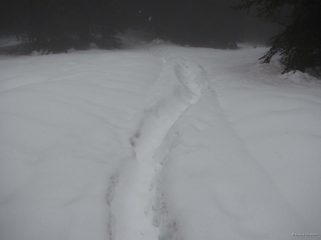 Slika_04.jpg - Z vsakim korakom se mi je bolj kolcalo po smučkah.