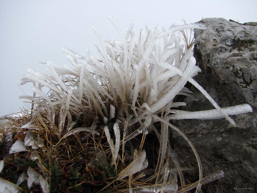 Slika_10.jpg - Umetnija narave.