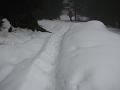 Slika_03