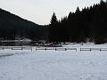Slika_41