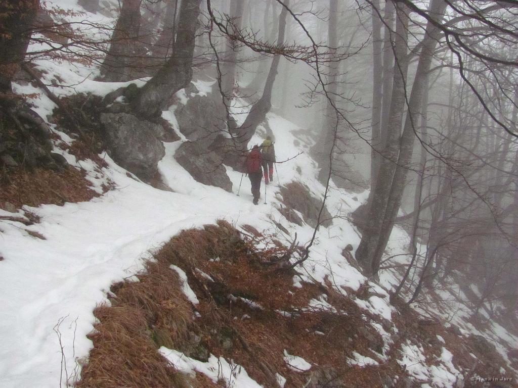 Slika_21.jpg - Spodnja gozdna pot je izredno lepa, taka zelo kolesarska.