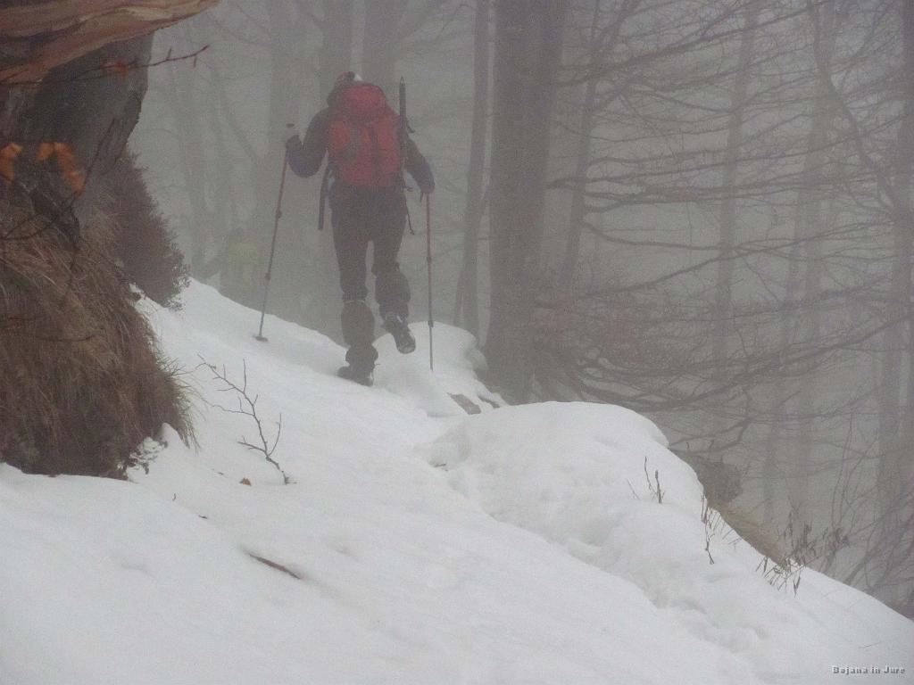 Slika_22.jpg - Megla, megla, megla...