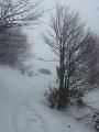 Slika_14