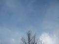 Slika_39