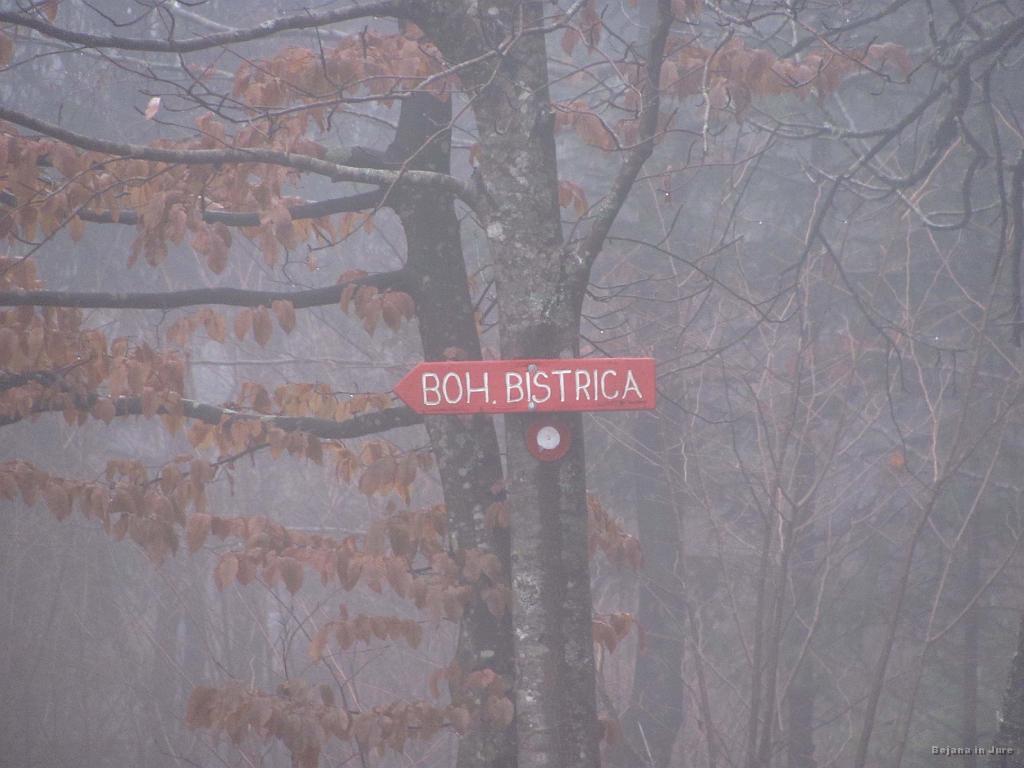 Slika_08.jpg - Težav z orientacijo na začetku sploh ne more biti.