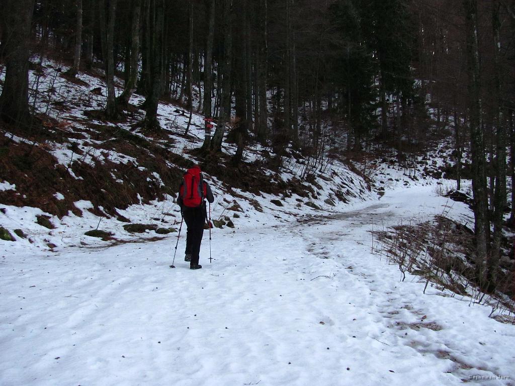 Slika_18.jpg - Ob povratku sva pogrešala smučke :)