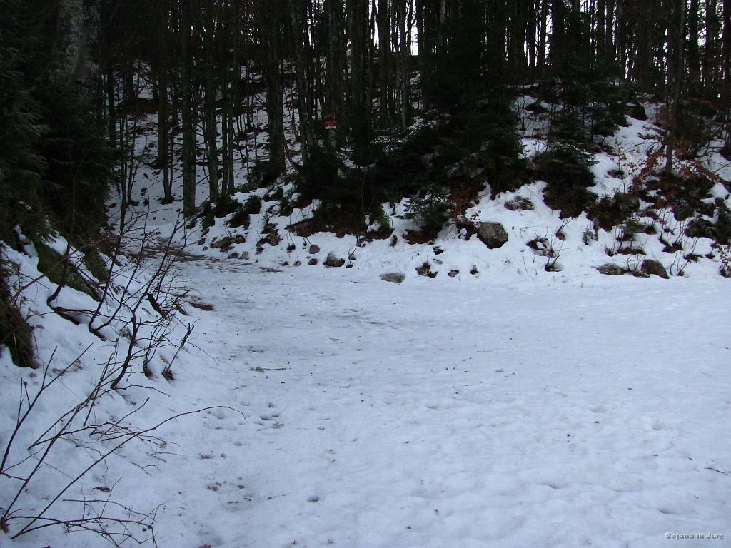 Slika_20.jpg - Odcep z gozdne ceste.