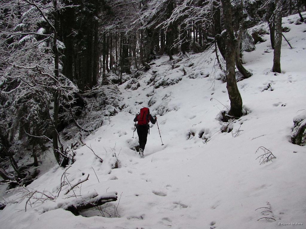 Slika_22.jpg - Snežna meja je bila cca. na 1200 m, vendar novega snega skoraj ni.