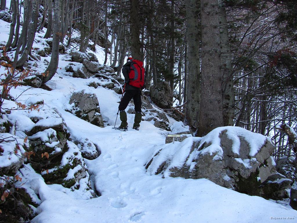 Slika_28.jpg - Se že iščeva.