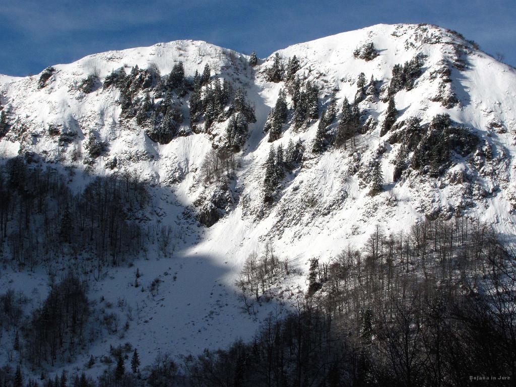 Slika_30.jpg - Lisec obsijan s soncem.