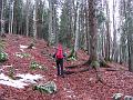 Slika_12