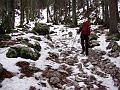 Slika_21