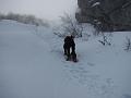 Slika_48