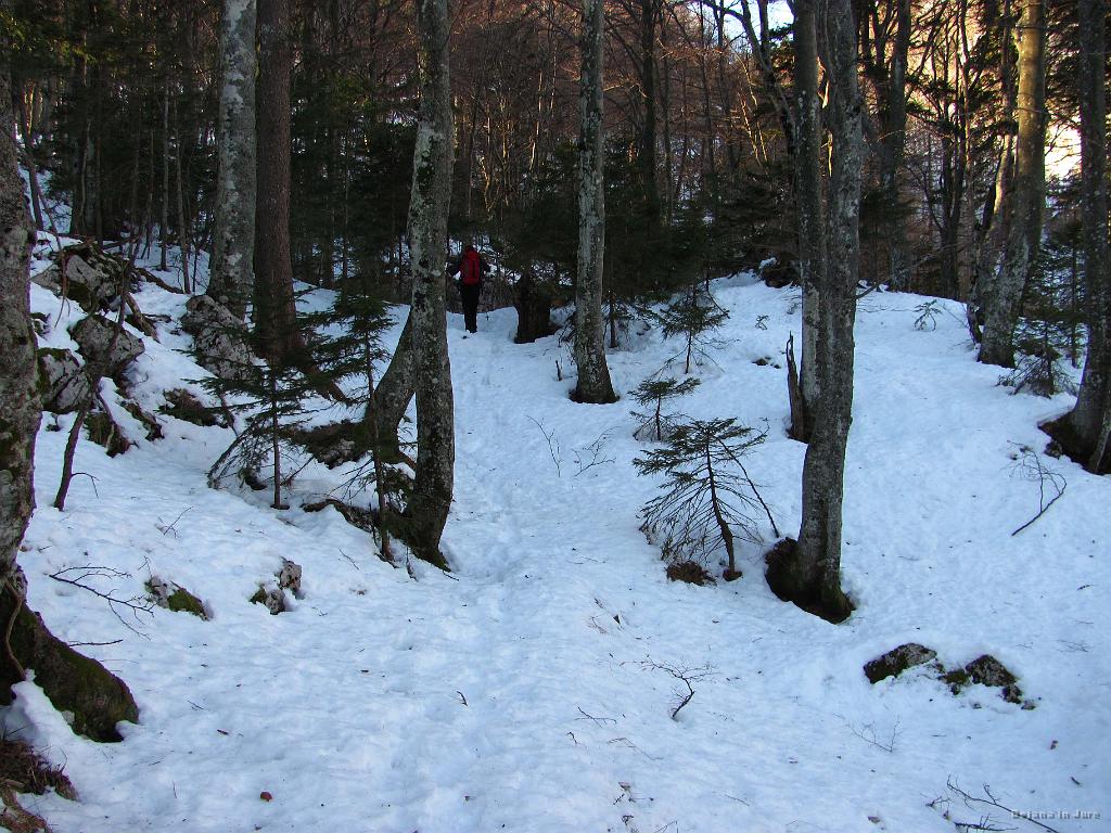 Slika_28.jpg - Na cca. 1000 m pa se snežna odeja kar pojavi. Sreča je, da večina drži mojo maso.