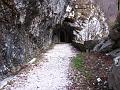 Slika_11