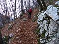 Slika_25