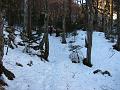 Slika_28