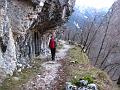 Slika_83