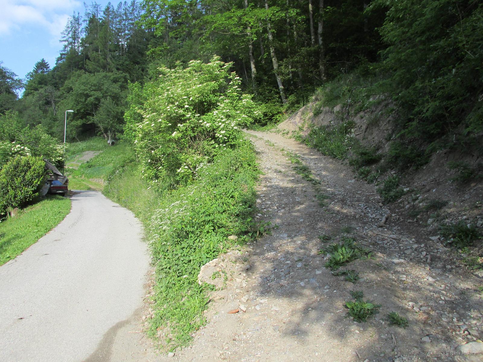 Slika 07