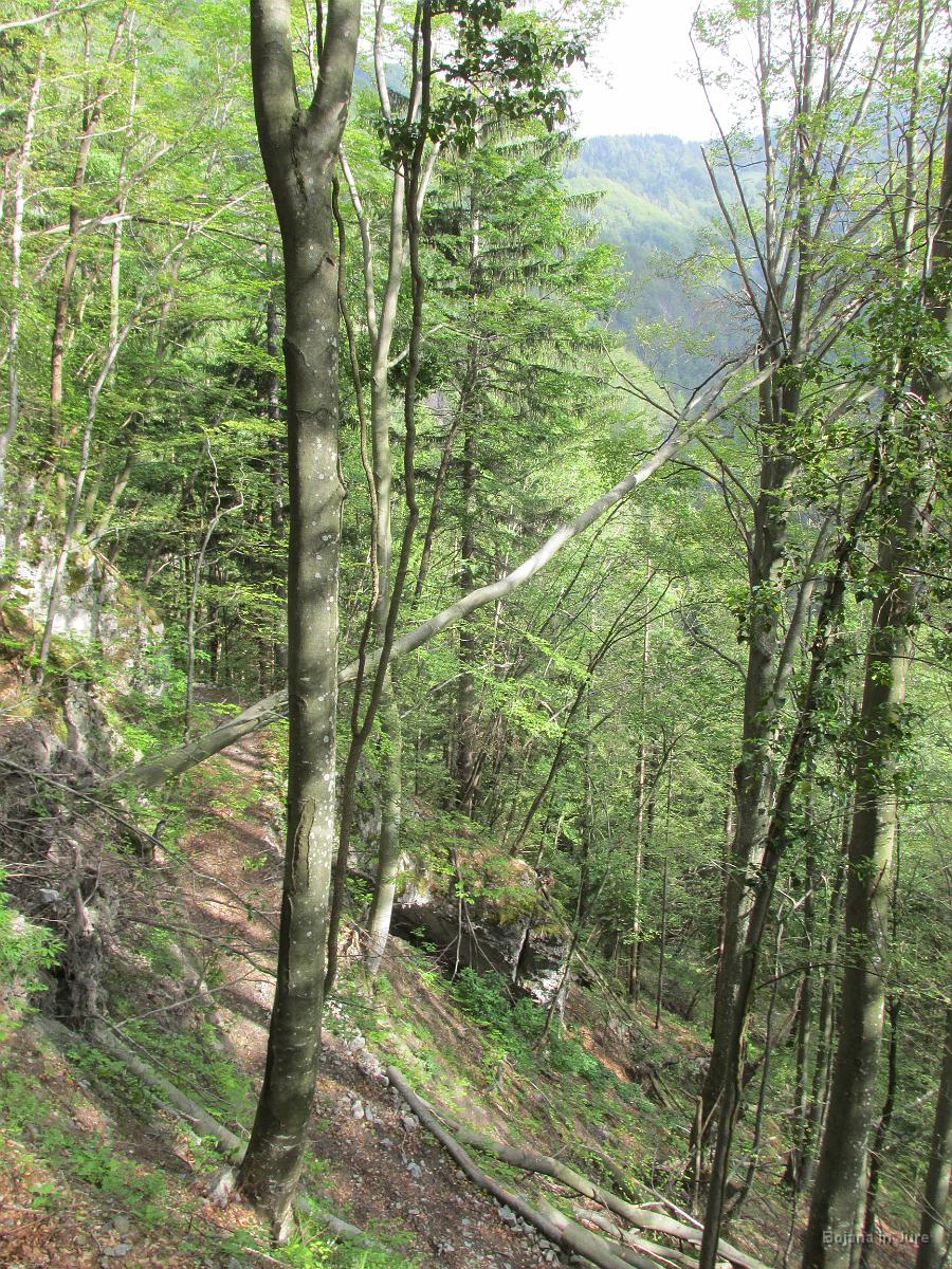 Slika 09
