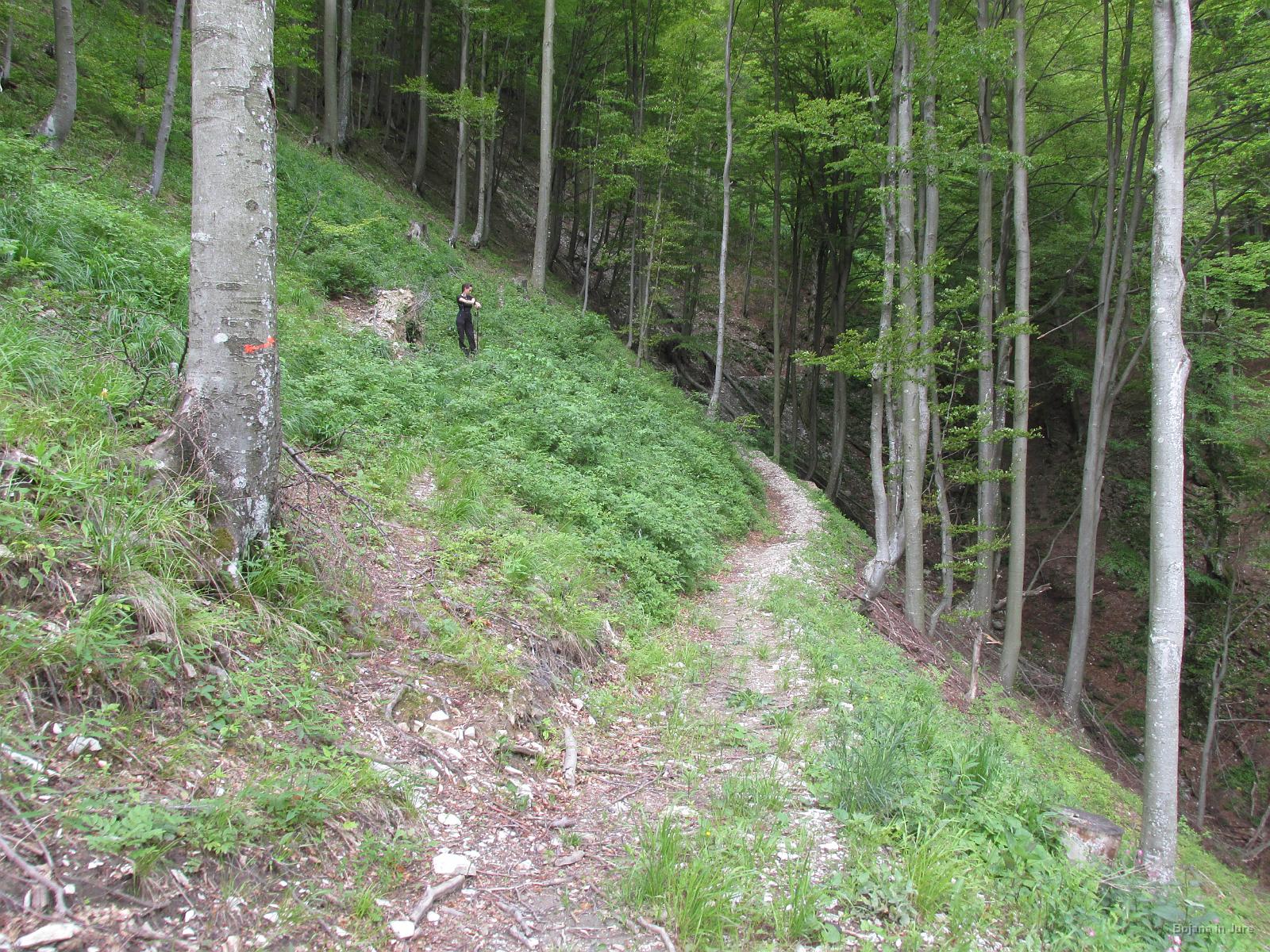Slika 26