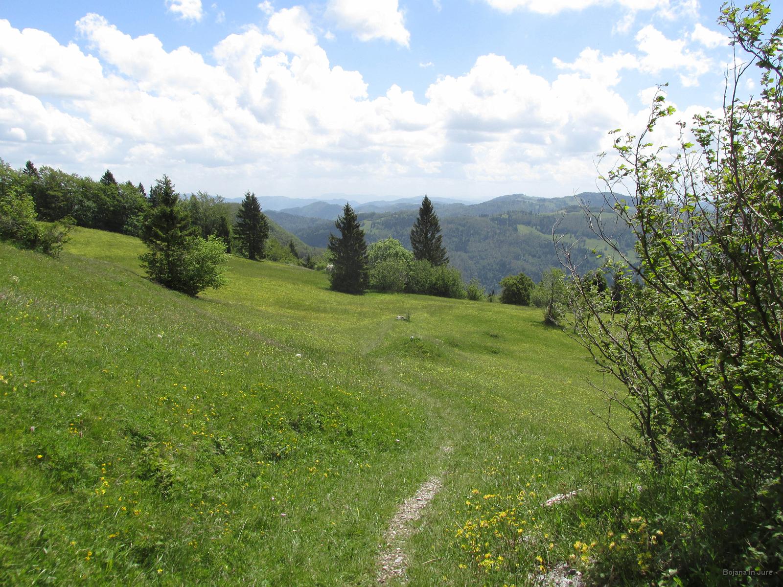 Slika 49