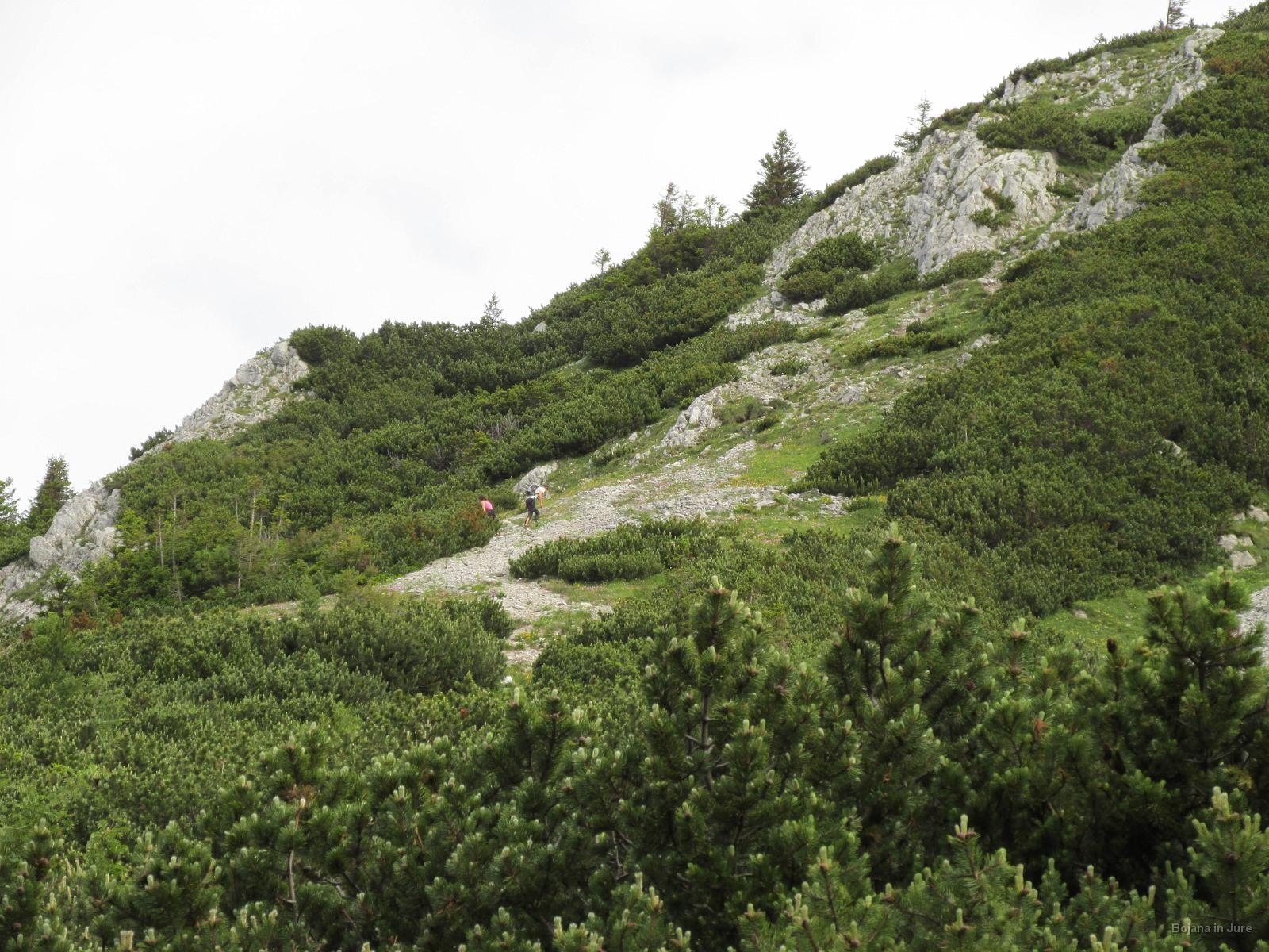 Slika 022