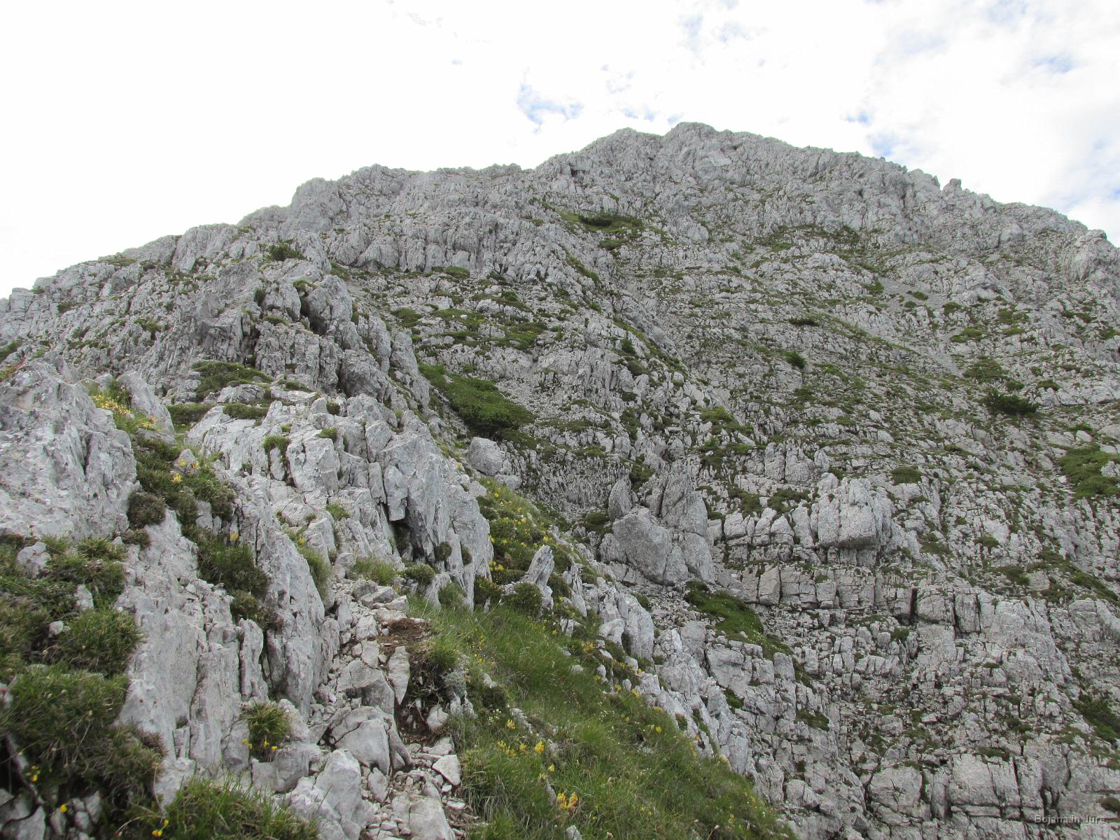 Slika 031