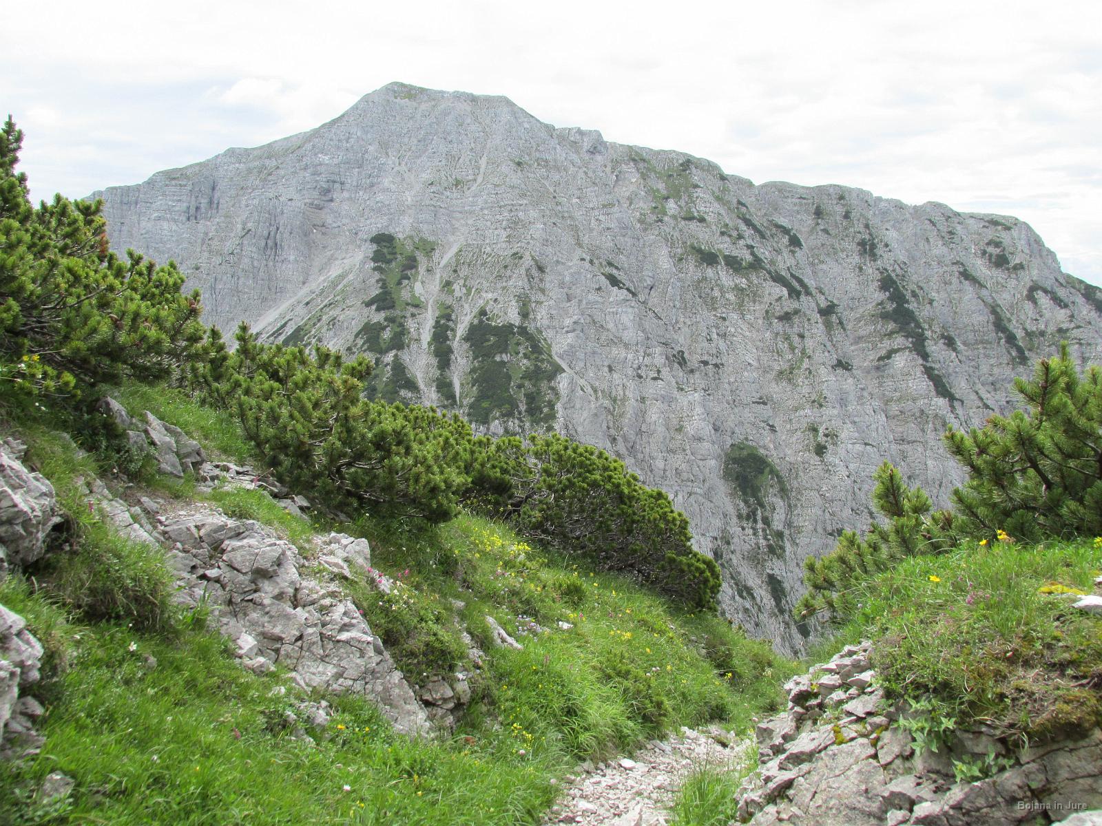 Slika 050