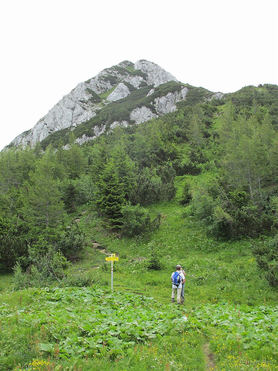 Slika 063