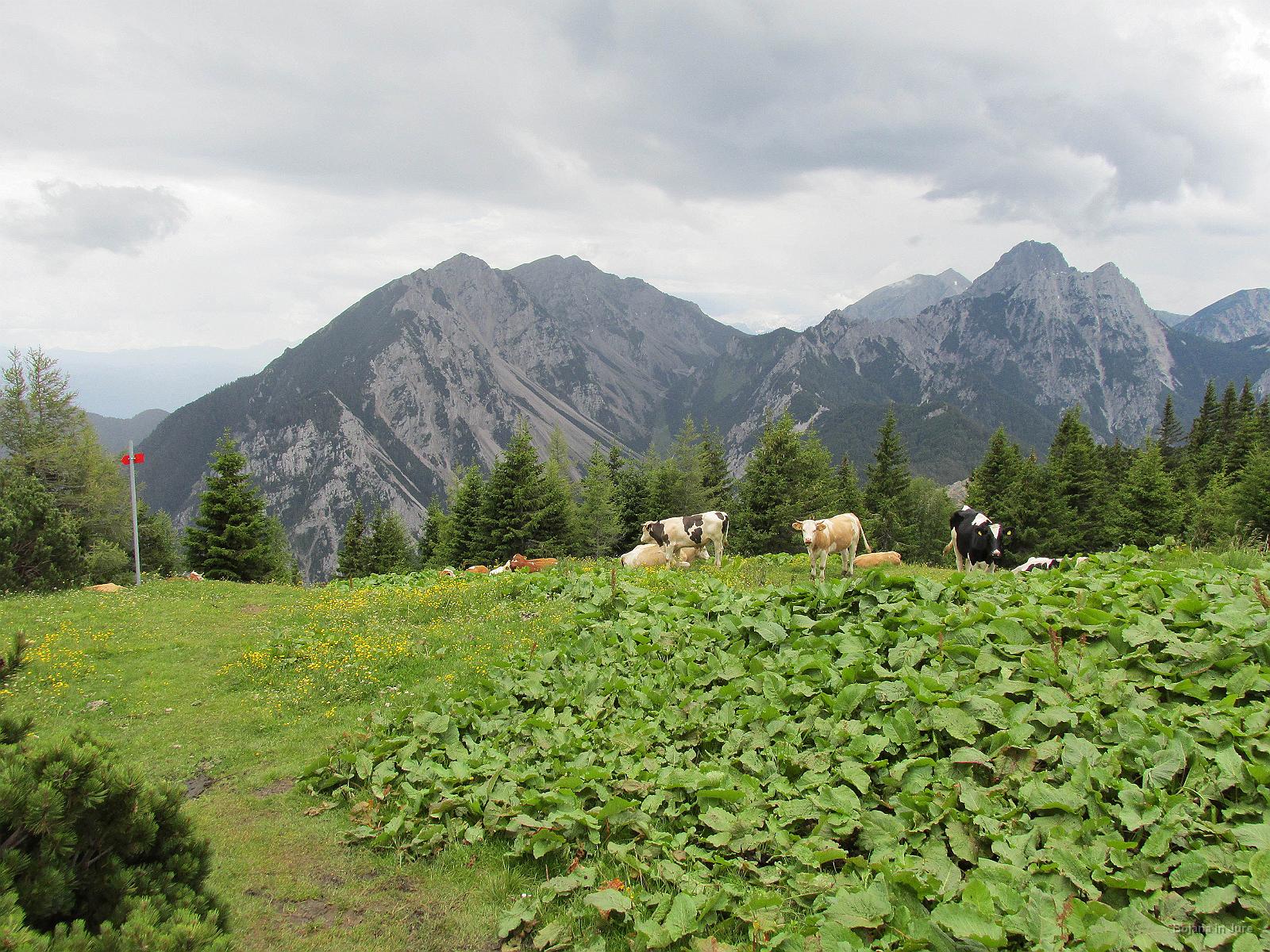 Slika 064