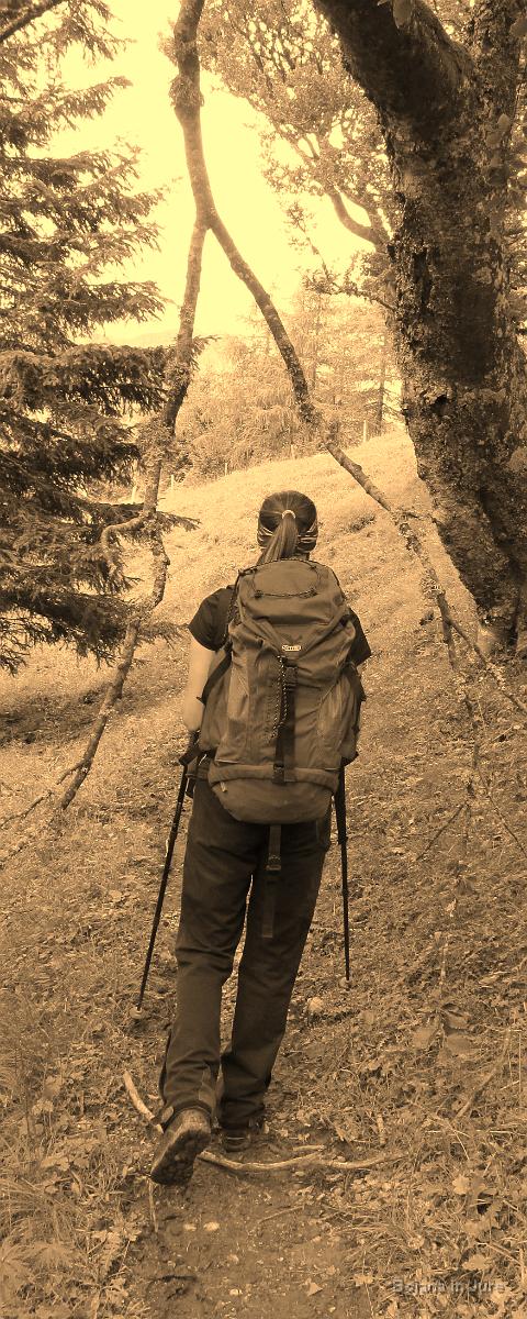 Slika 067