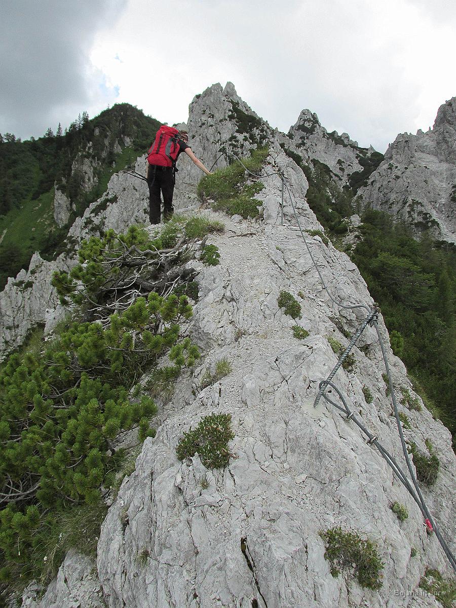 Slika 095