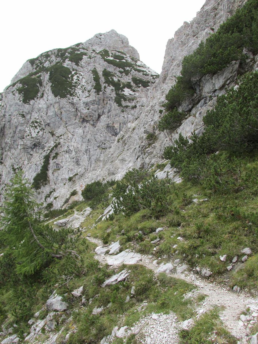 Slika 29