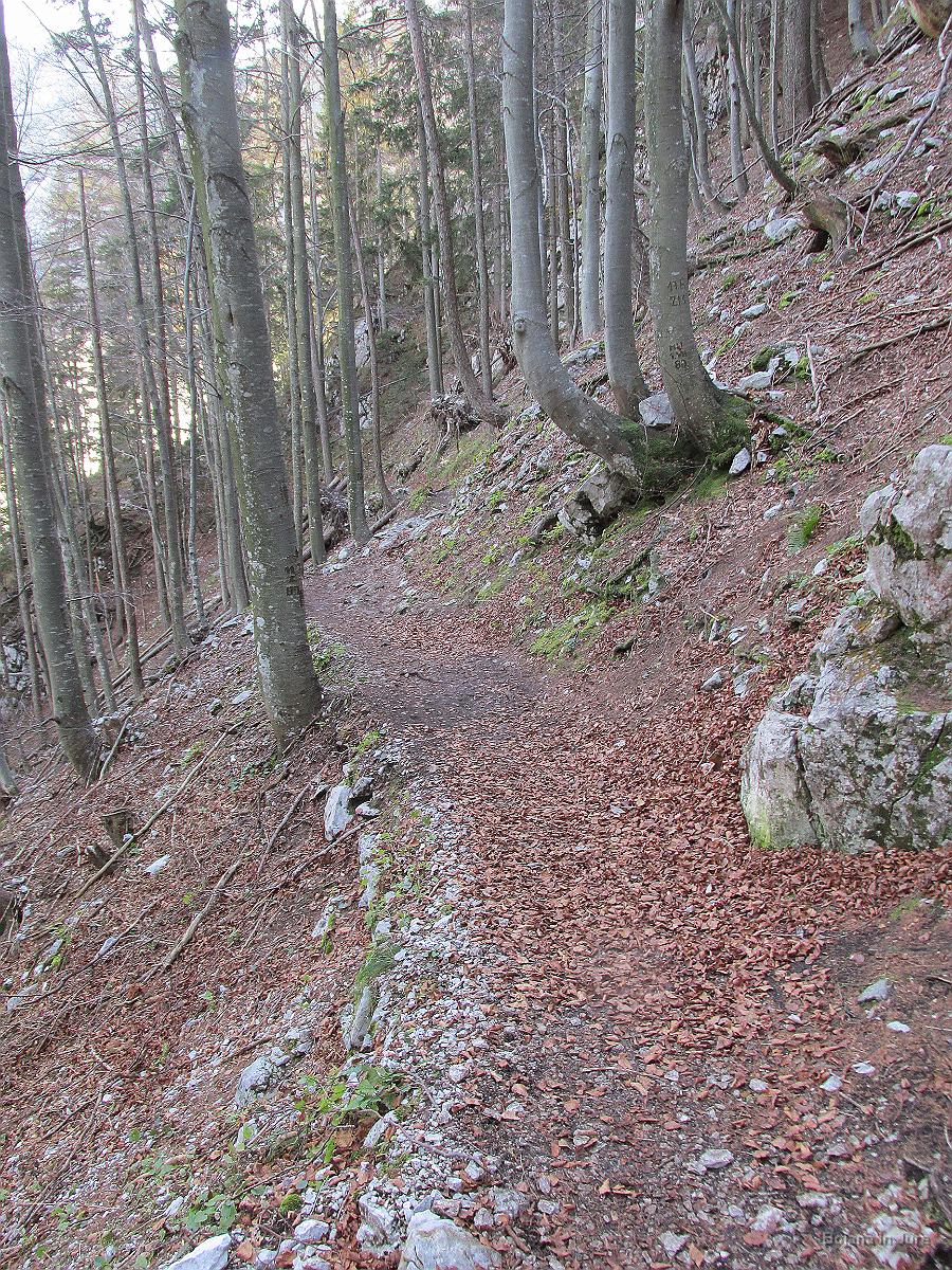 Slika 08
