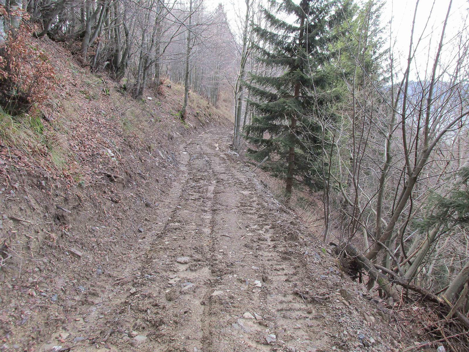 Slika 41