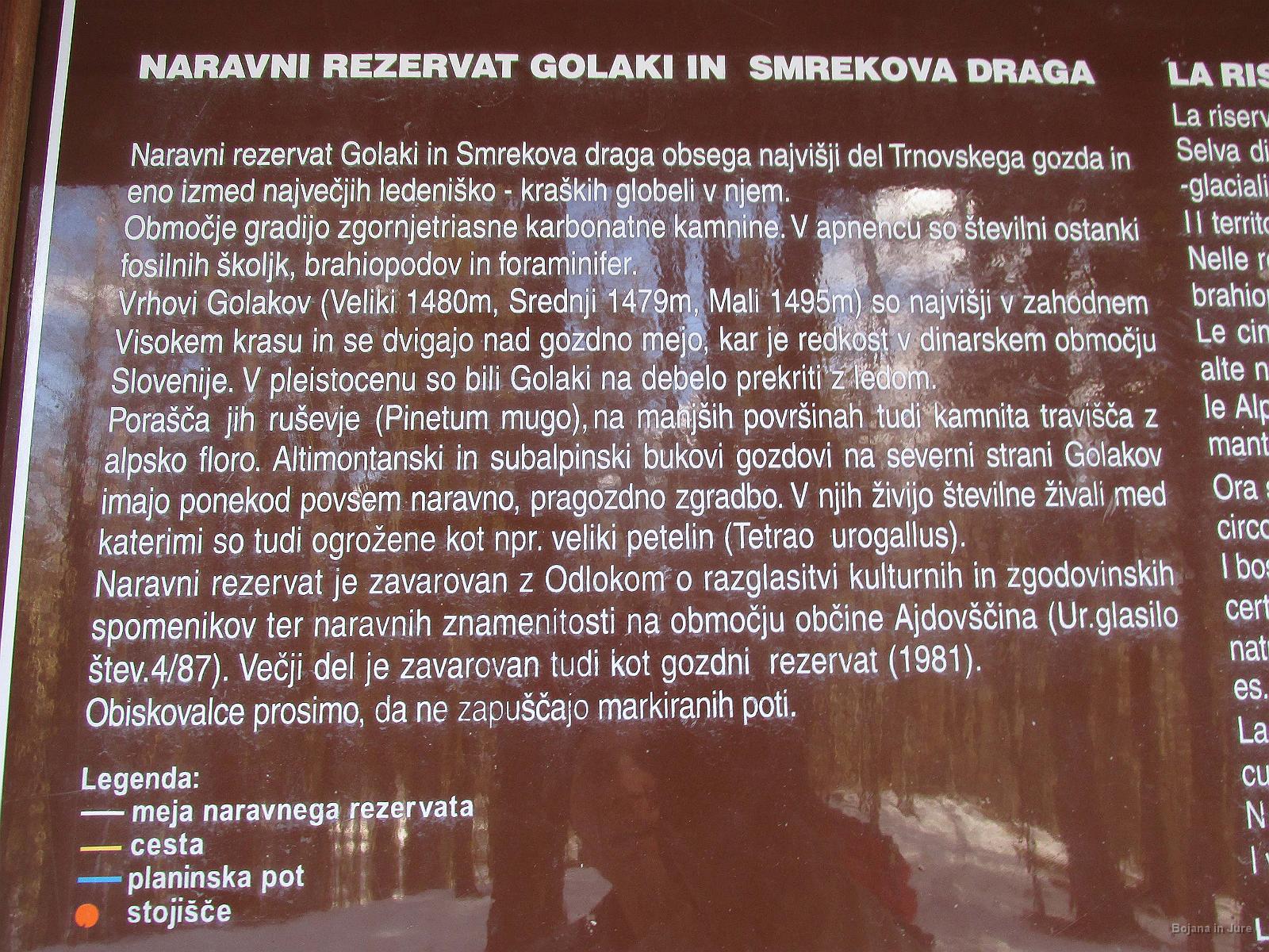 Slika 10