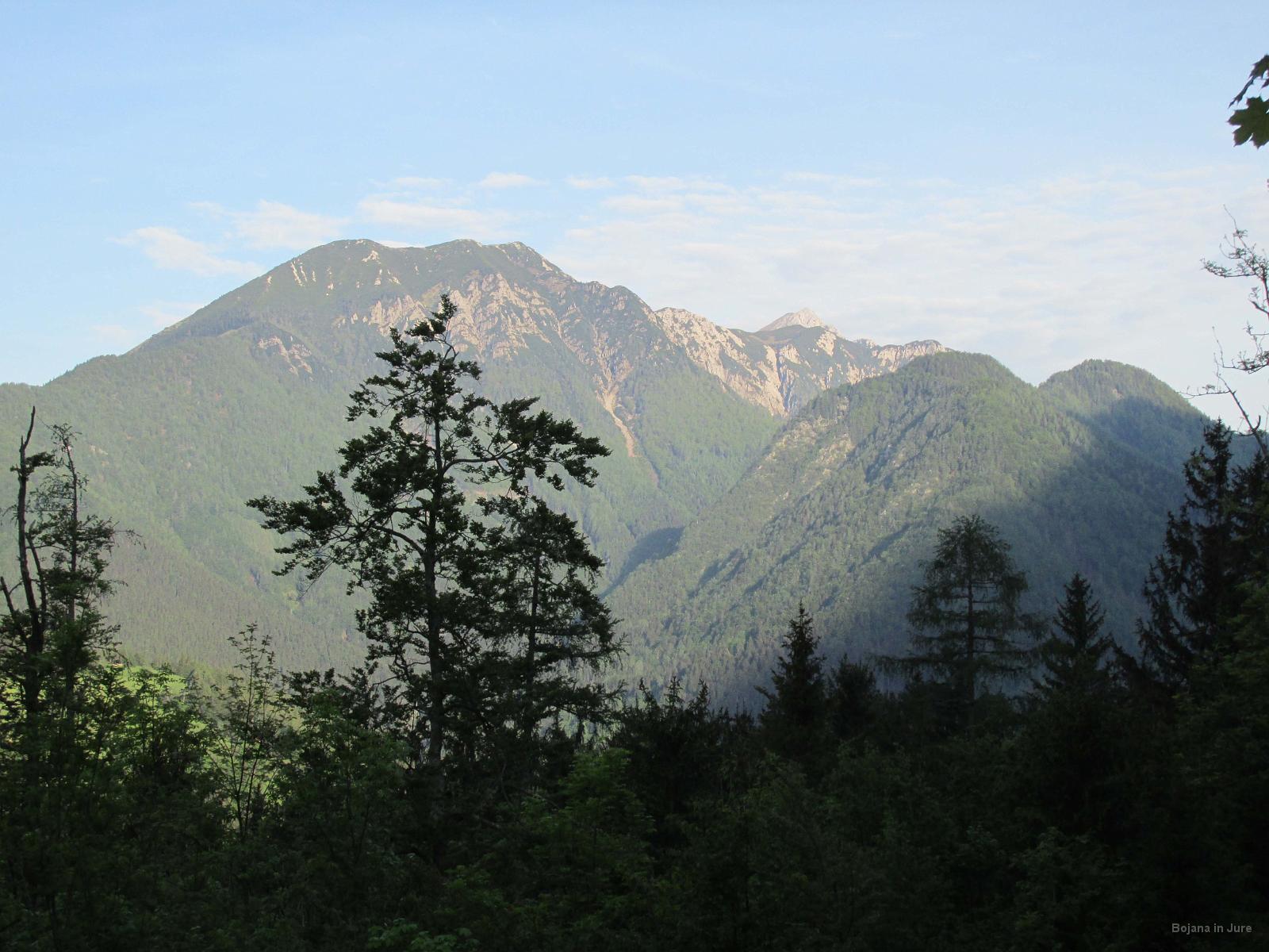 IMG 3453