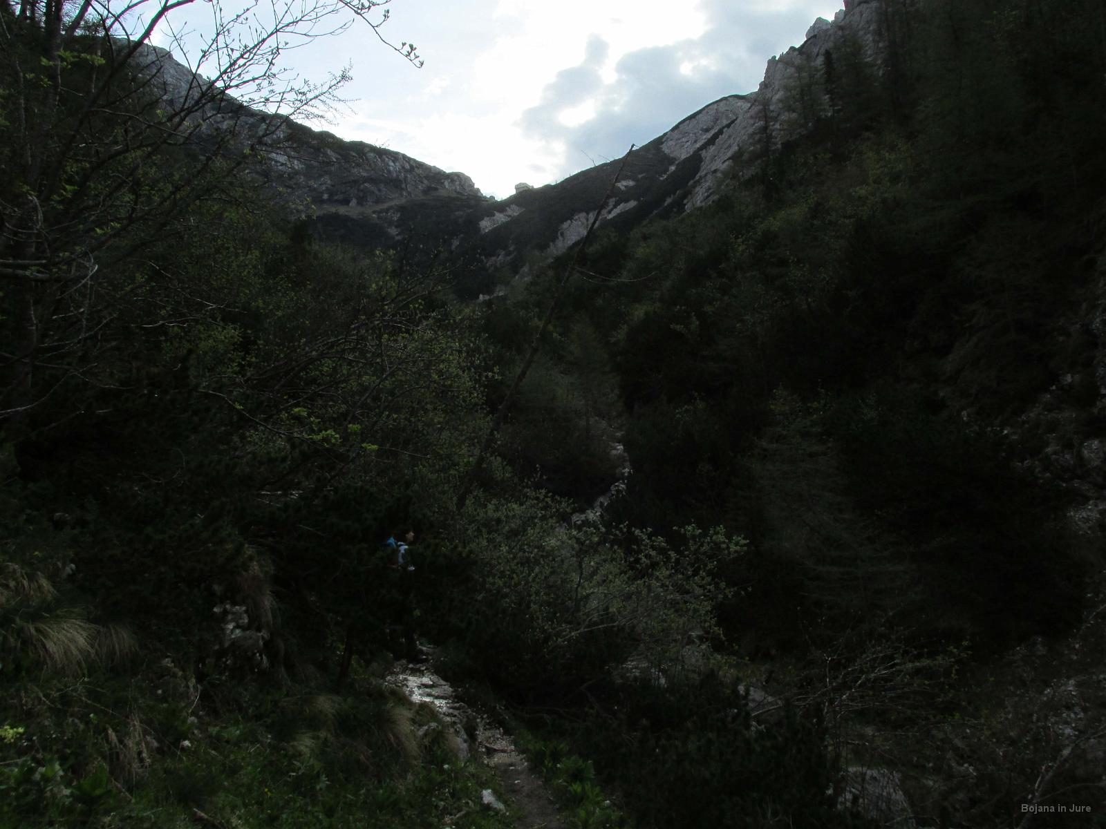 IMG 3474