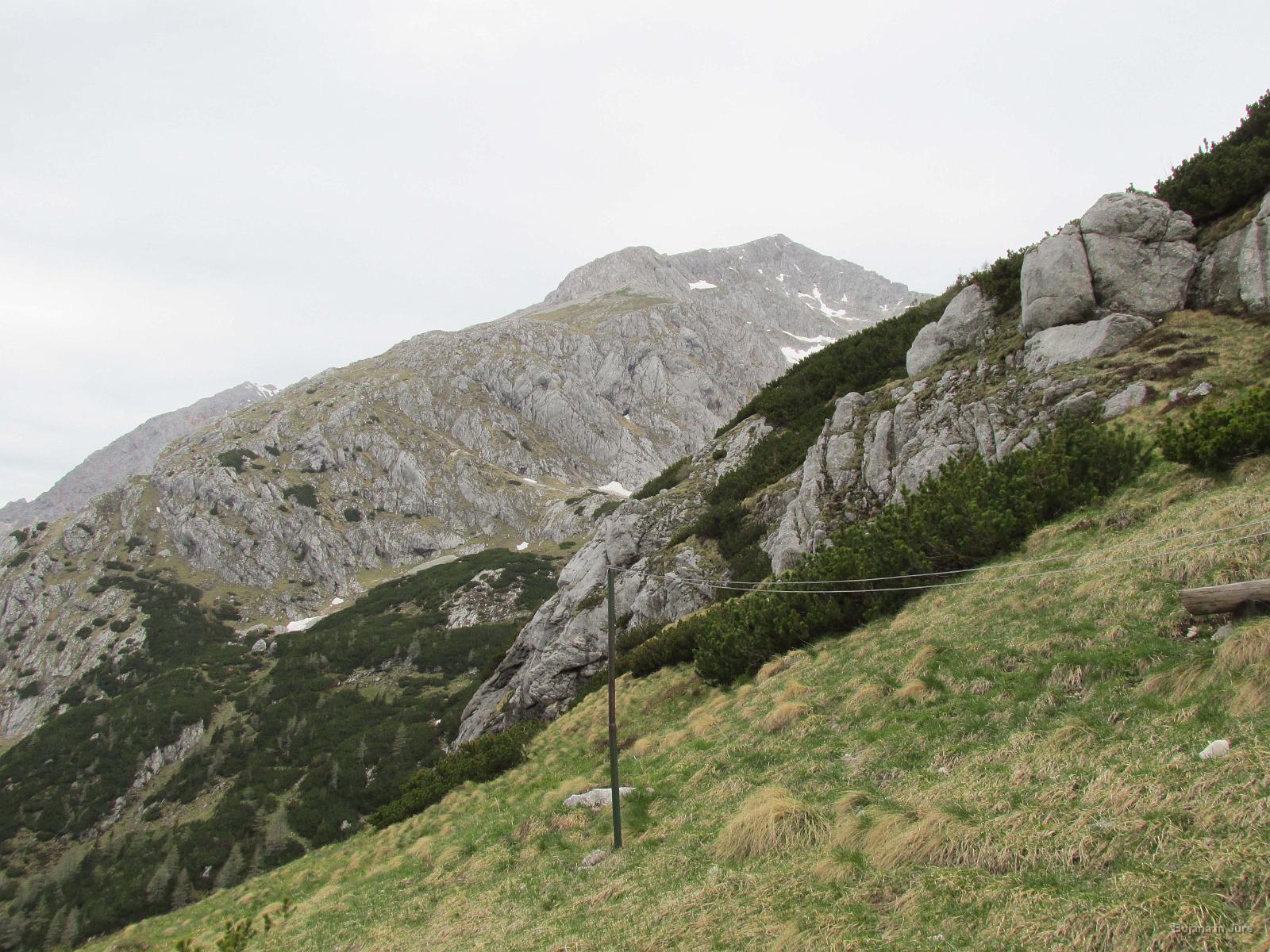 IMG 3480