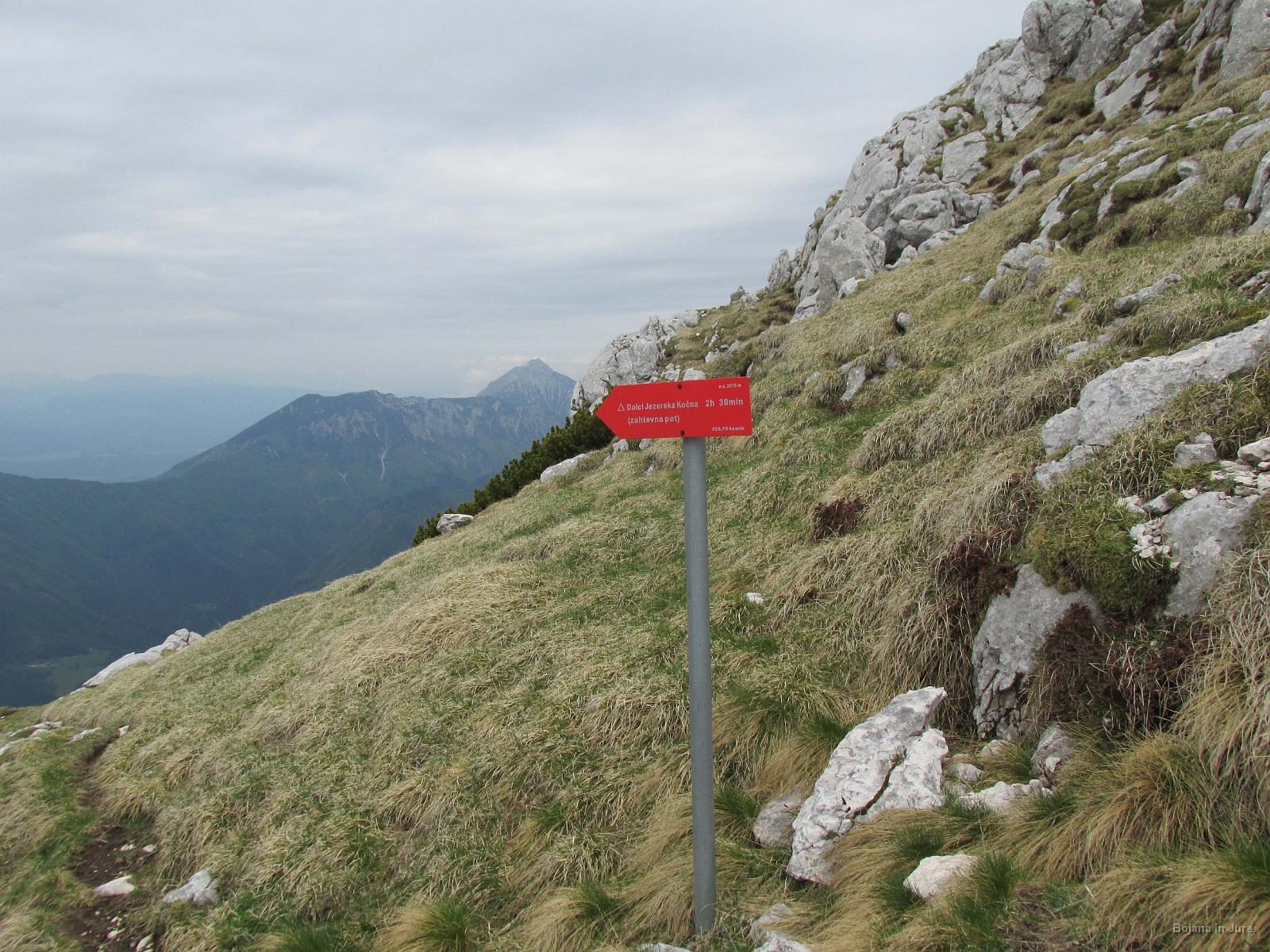 IMG 3490