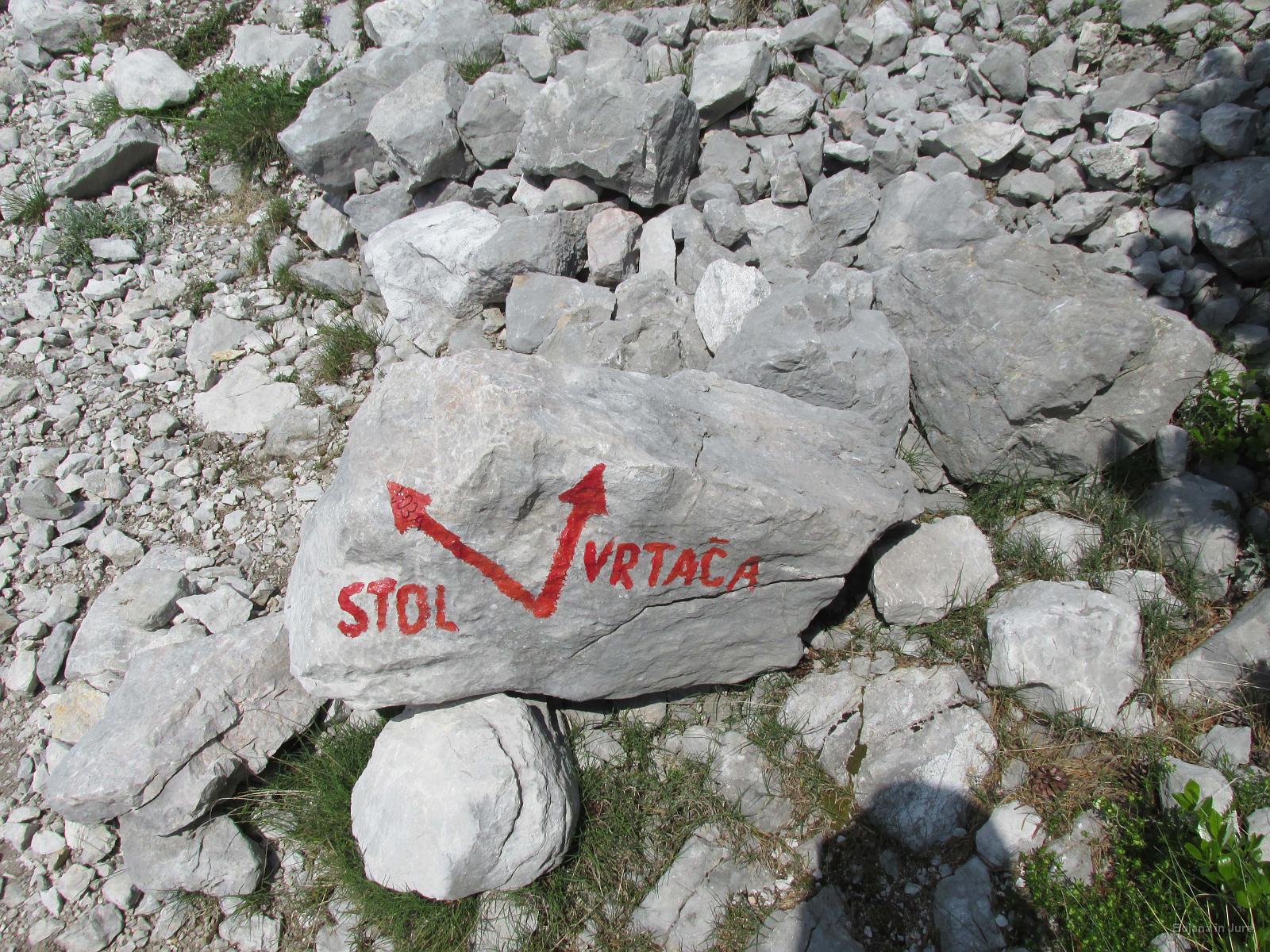 IMG 3556