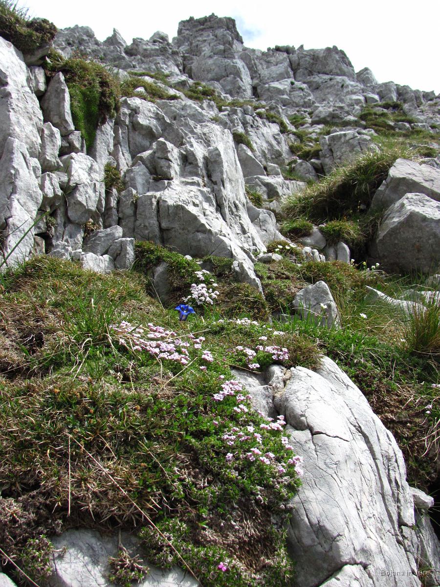 IMG 3558 1